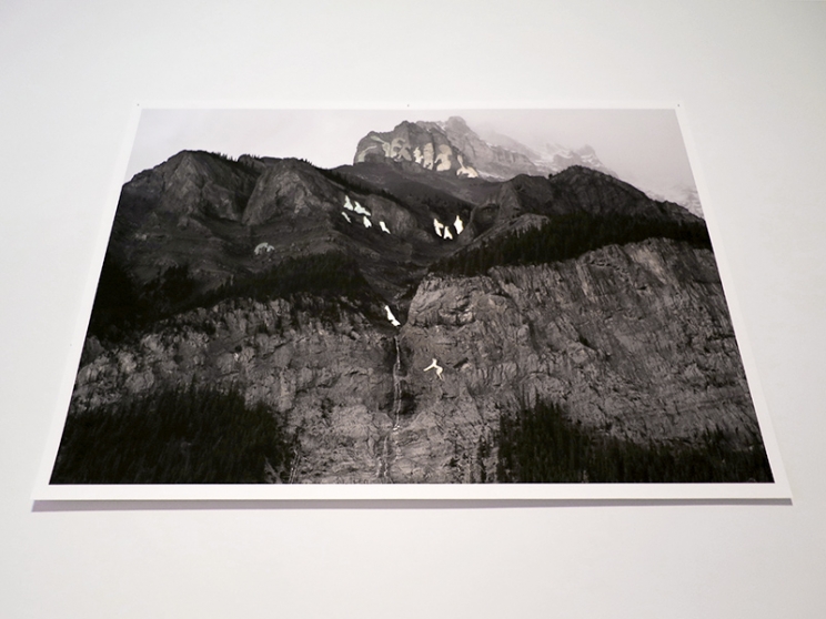 https://reporting.mirunadragan.com/files/gimgs/th-12_GGallery_Mountain_web.jpg