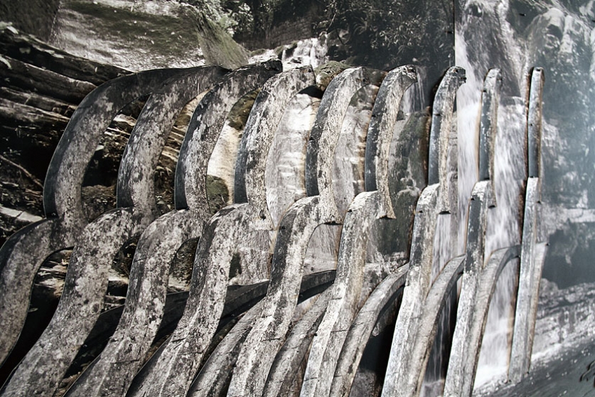 https://reporting.mirunadragan.com/files/gimgs/th-6_IMG_2473_Xilitla_W.jpg